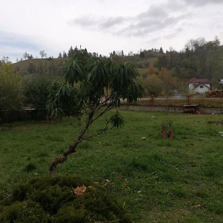 Casa Cozorici Otel Sadova  Dış mekan fotoğraf