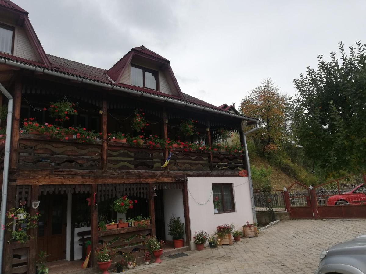 Casa Cozorici Otel Sadova  Dış mekan fotoğraf
