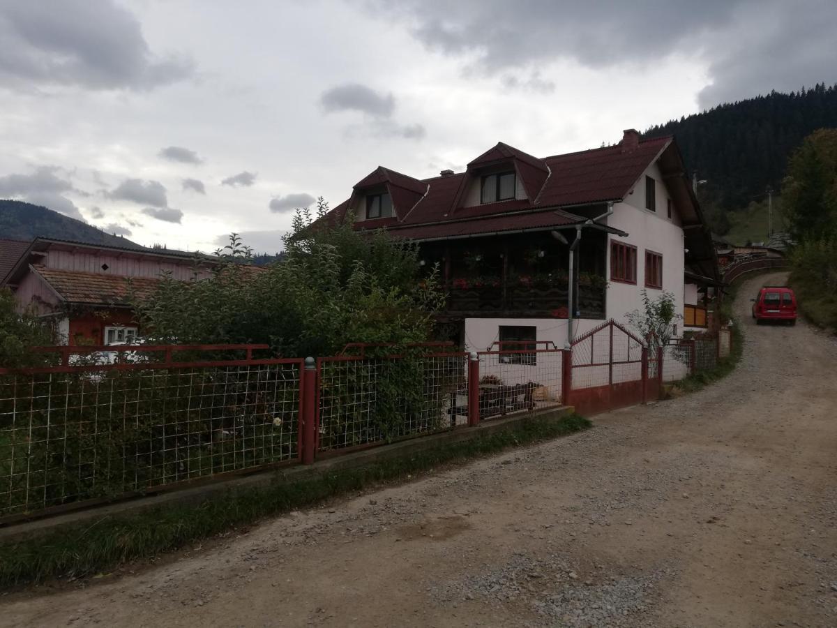 Casa Cozorici Otel Sadova  Dış mekan fotoğraf