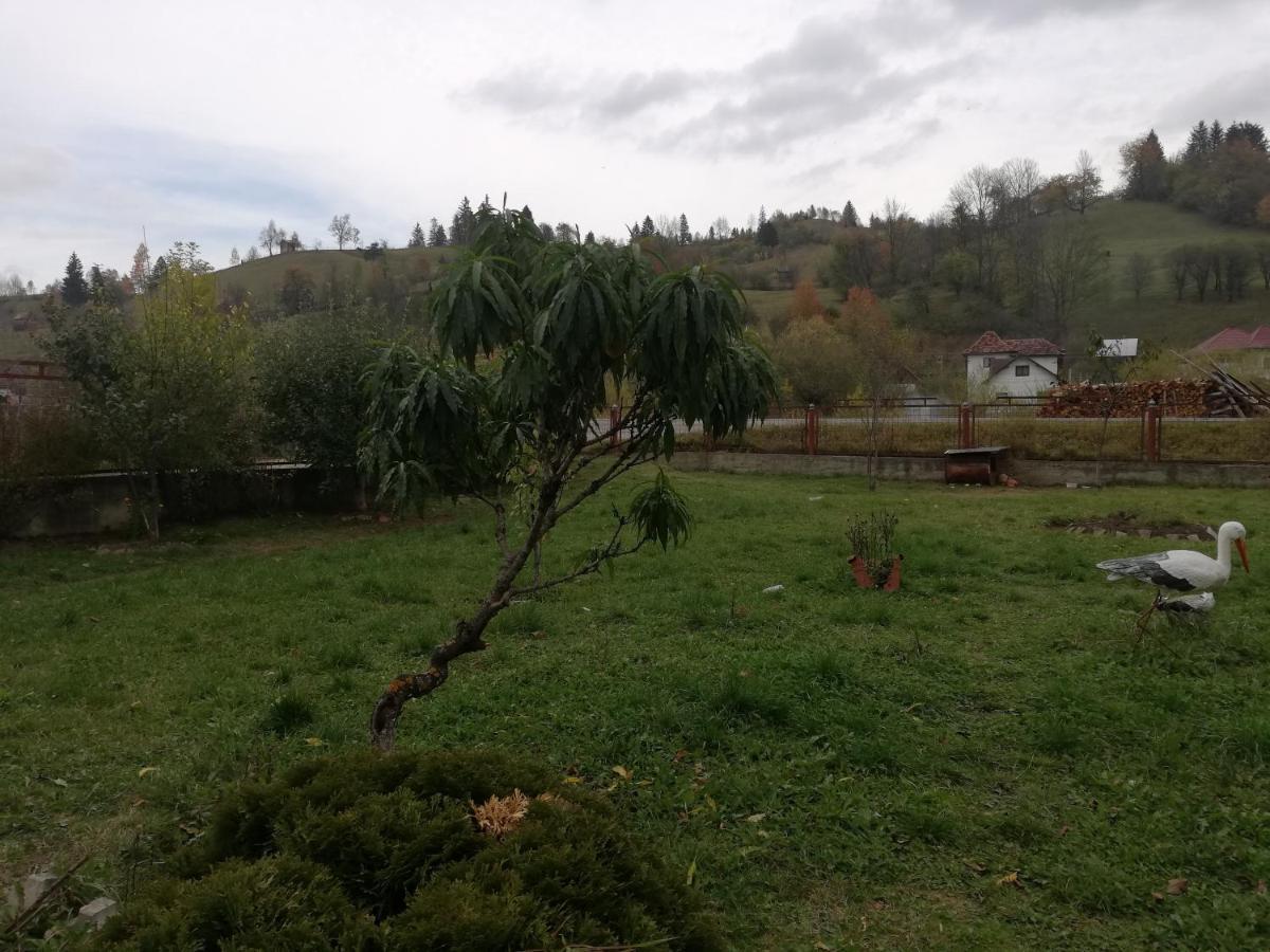 Casa Cozorici Otel Sadova  Dış mekan fotoğraf