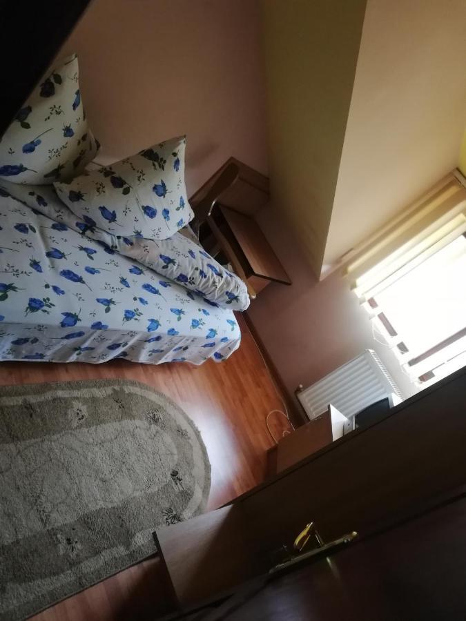 Casa Cozorici Otel Sadova  Dış mekan fotoğraf