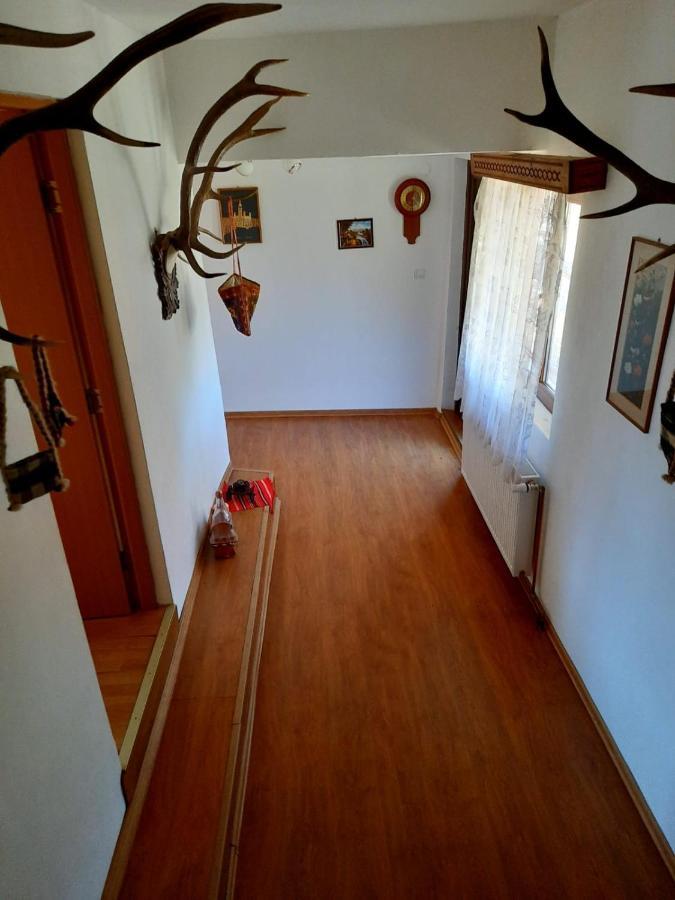 Casa Cozorici Otel Sadova  Dış mekan fotoğraf