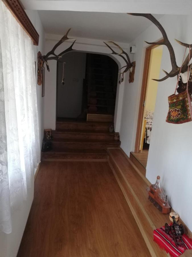 Casa Cozorici Otel Sadova  Dış mekan fotoğraf