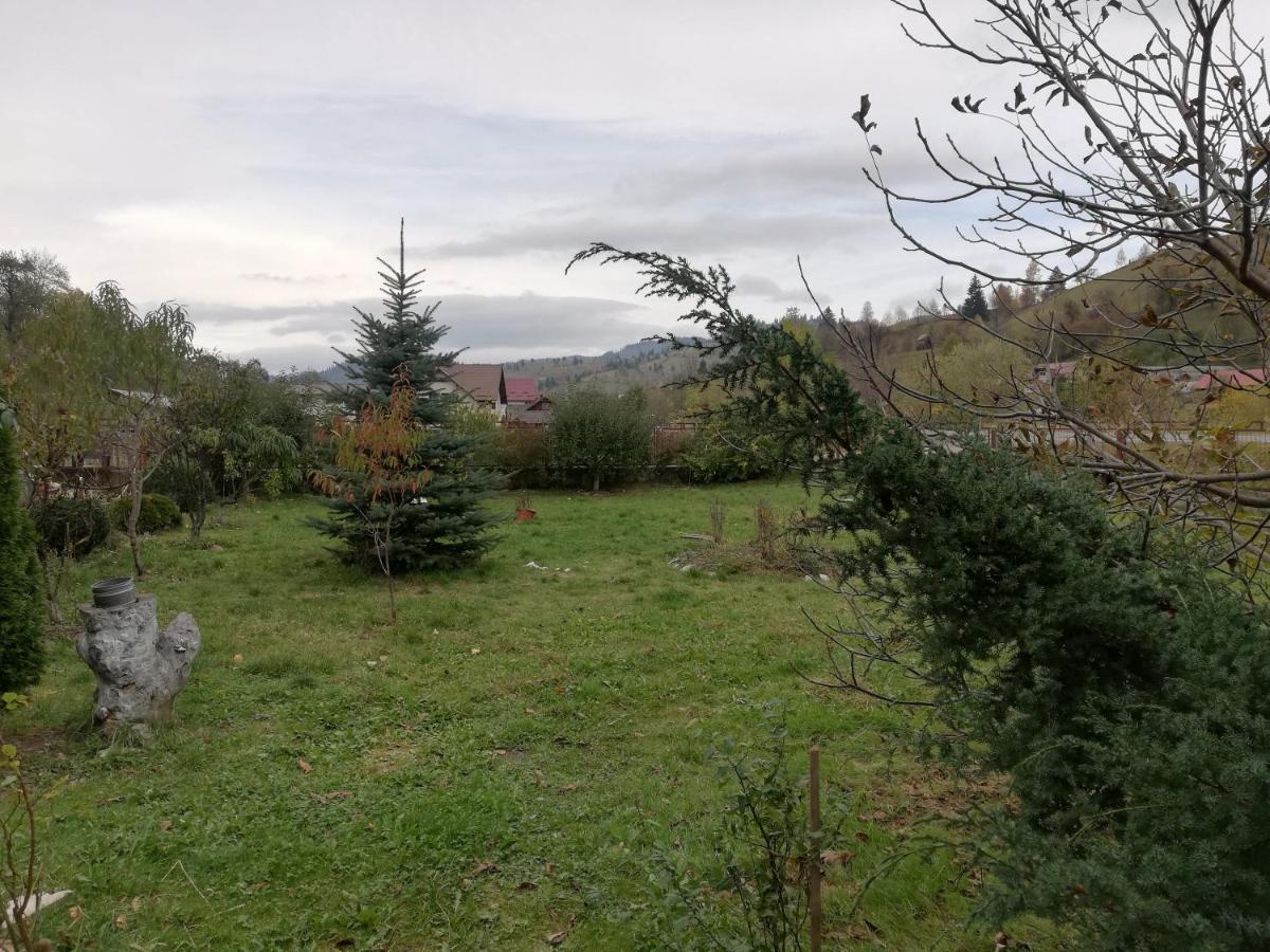 Casa Cozorici Otel Sadova  Dış mekan fotoğraf