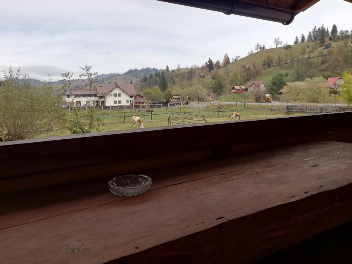 Casa Cozorici Otel Sadova  Dış mekan fotoğraf