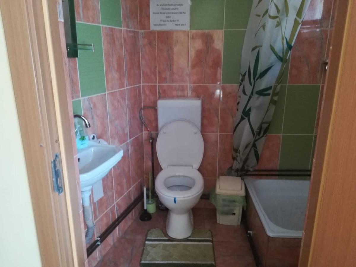 Casa Cozorici Otel Sadova  Dış mekan fotoğraf